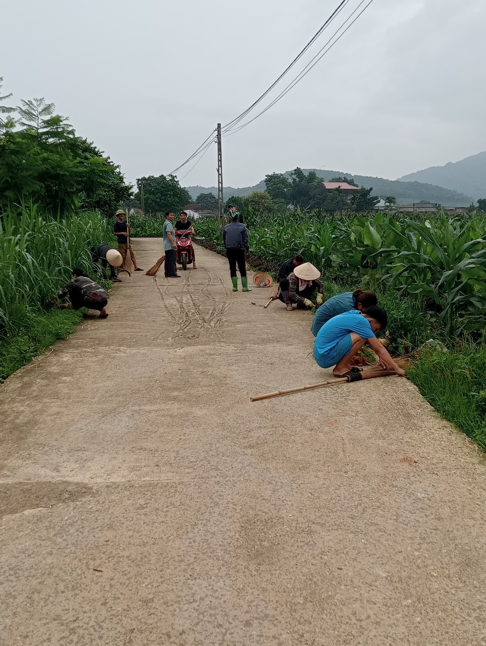 Nhân dân và cán bộ thôn Mít Đồng Sống tích cực hưởng ứng cuộc thi xây dựng và giữ gìn thôn ngõ, xóm, sáng, xanh, sạch, đẹp, an toàn.